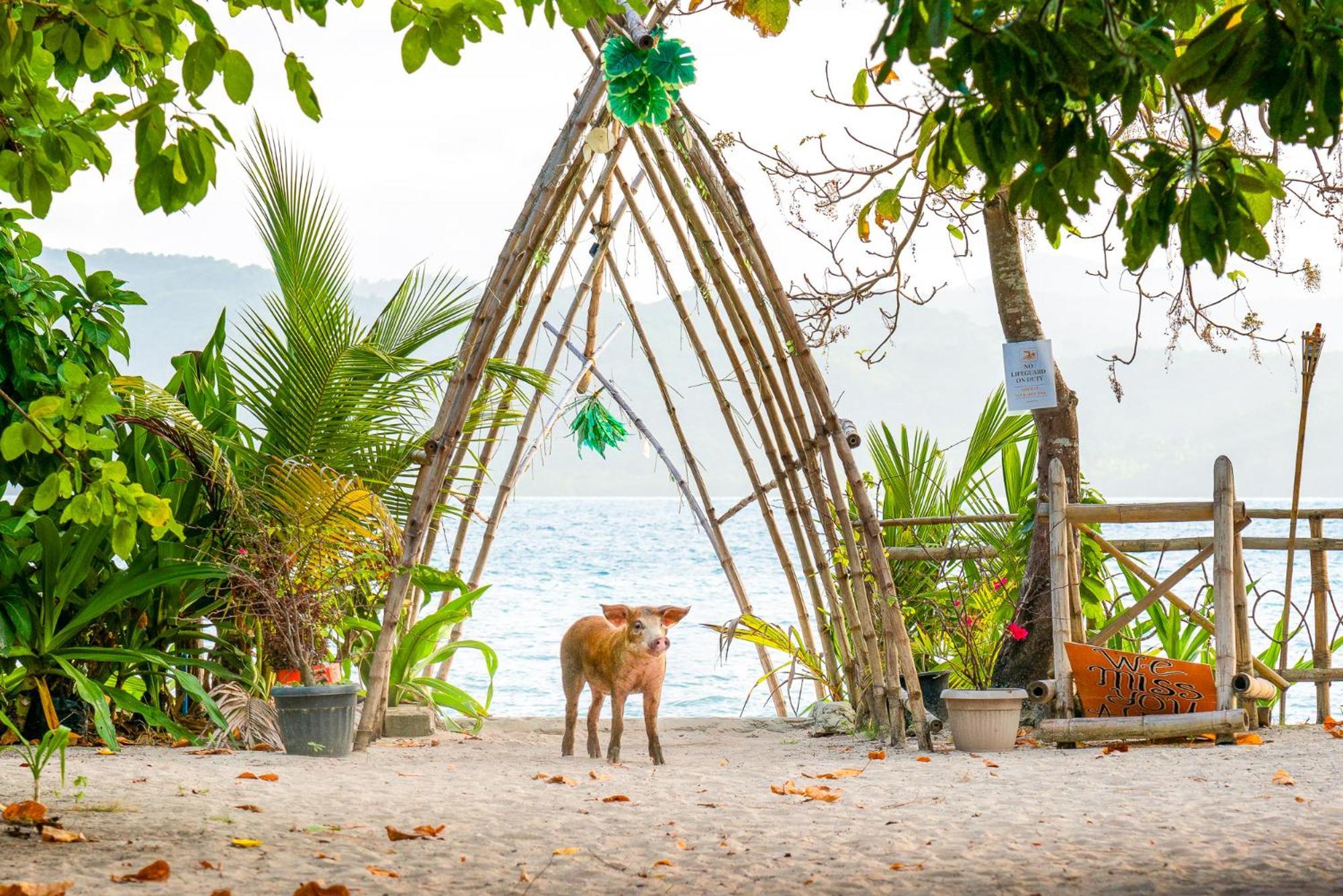Isla - The Island Experience Hotel El Nido Buitenkant foto